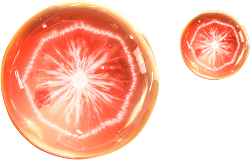left-image